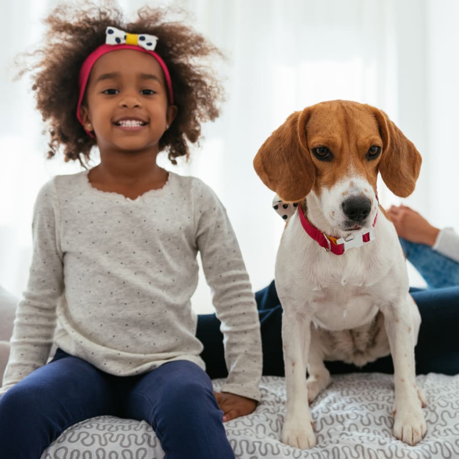 best dogs for kids, beagle